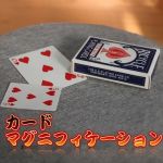 カード・マグニフィケーション (裏色お任せデックセット)