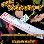 �R���f�B�E�A���r�V���X�J�[�h (��)