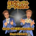 ���r�W���A���E�J�[�hto�r�� (���F���C��)