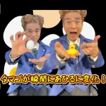 �^�}�Sto�A�q�������