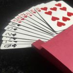 �t�F�C�X�E�I�t (��) (�����{��⑫�������t��)