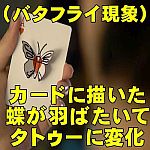 ードに描いた蝶が羽ばたいてタトゥーに変化 (バタフライ現象) (赤デックセット)