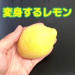 �ϐg���郌����