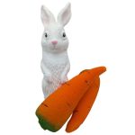 �n�b�s�[�L�����b�g���p�m���}�W�b�N���ʔŁ�