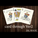 �y���ʌ���i�z�J�[�h�X���[ Ver.2 (��) by JAL