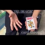 �y���ʌ���i�z �J�[�h�X���[ Ver.1 (�ԗ�) by JAL