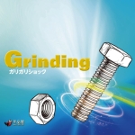 �K���K���V���b�N (���Ƌ��ɃC���X�g���ω�)