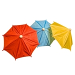 ��i���~�j�p���\�� (�P�i�^�I�����C������t��)